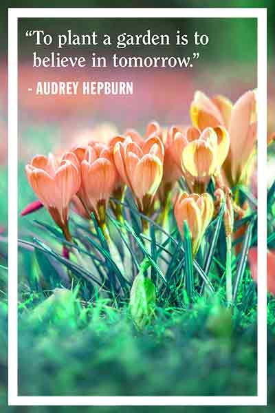 Be Amazed by Inspirational Easter Quotes, Cute Bunny Pictures, and ...
