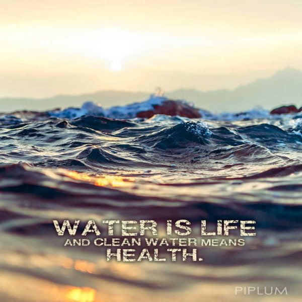 no-water-no-life-quote-piplum