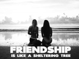Friendship-is-like-a-sheltering-tree.-Inspirational-Friends-Quote.