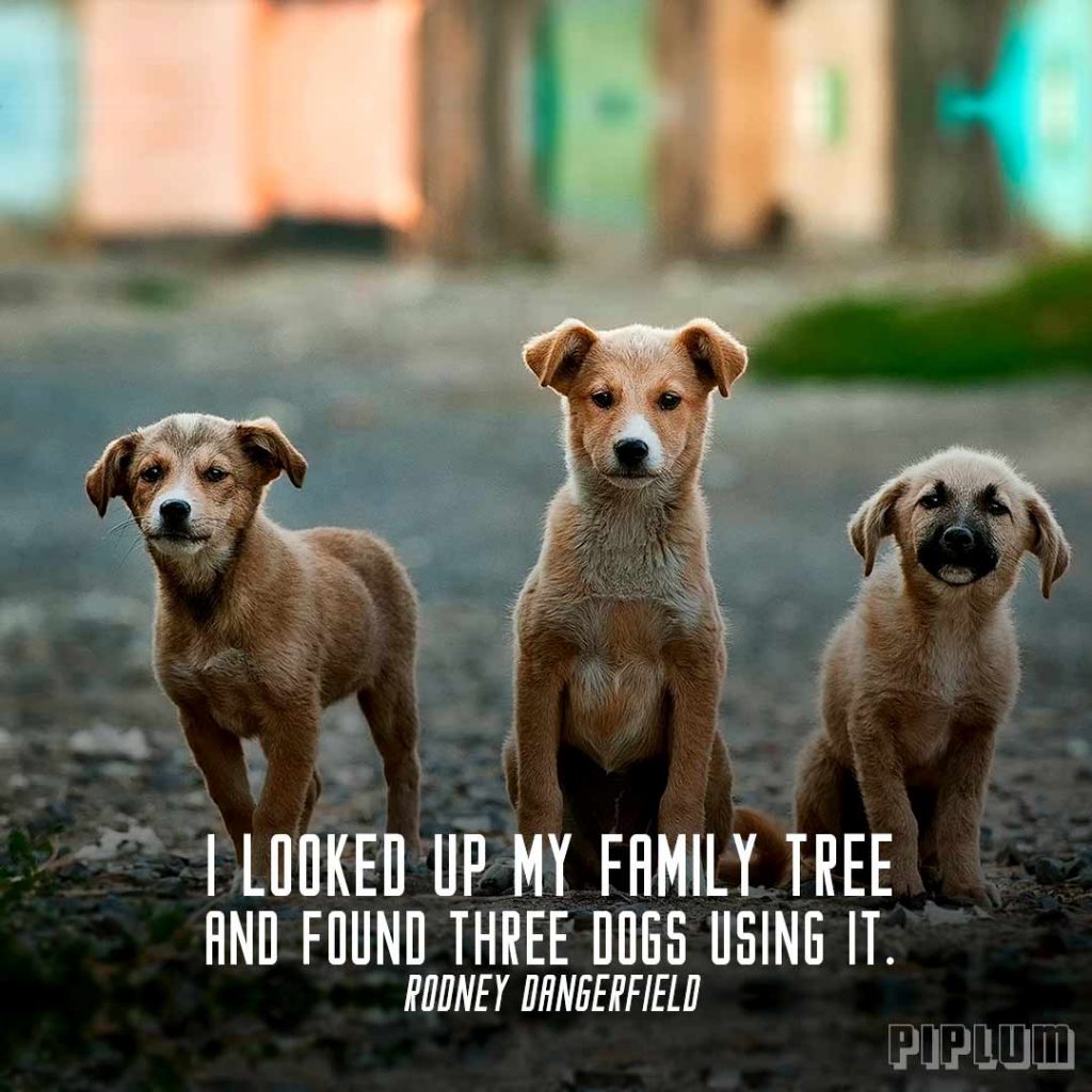 The Family Is The Closest And Dearest People To Us