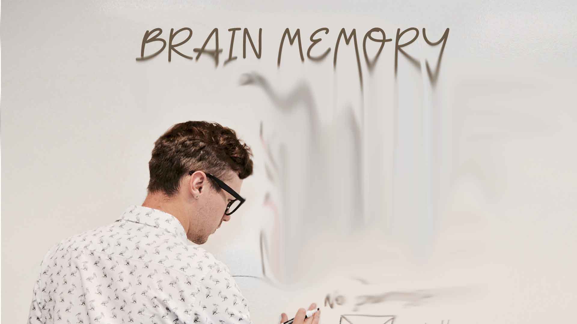 brain-memory-how-to-get-super-memory-often-forget-things