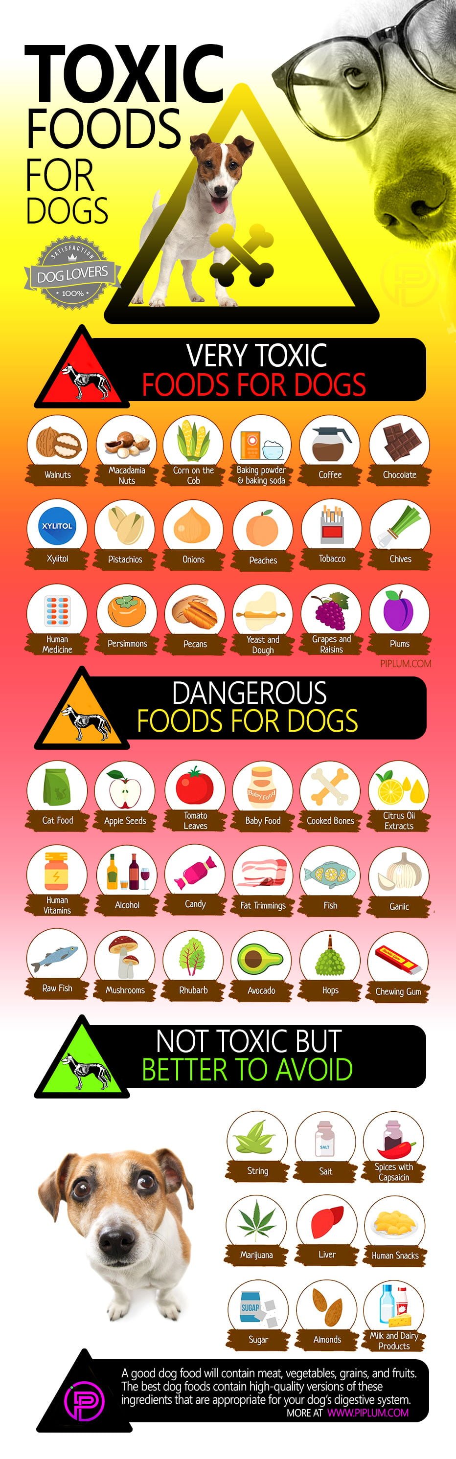 Are Any Human Foods Bad For Dogs