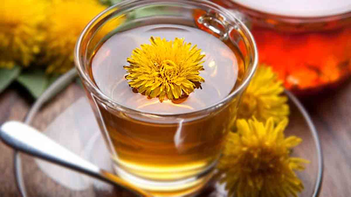 Dandelion-tea-and-health-benefits