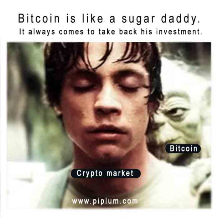 bitcoin sugar daddy