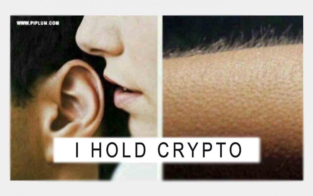 hold meme crypto