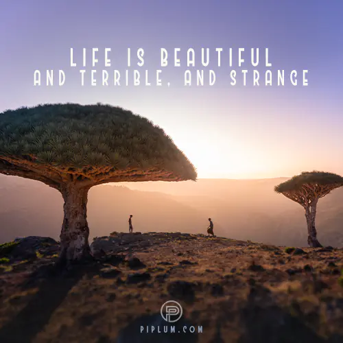 85 Life Is Beautiful Quotes - Planet of Success