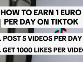 How to Earn 1 Euro per Day on TikTok